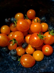 Homegrown food tomato