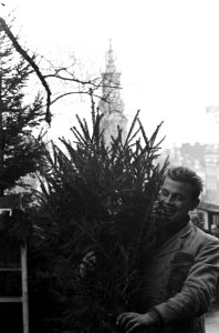 Eerste kerstbomen op de bloemenmarkt te Amsterdam, Bestanddeelnr 910-8676