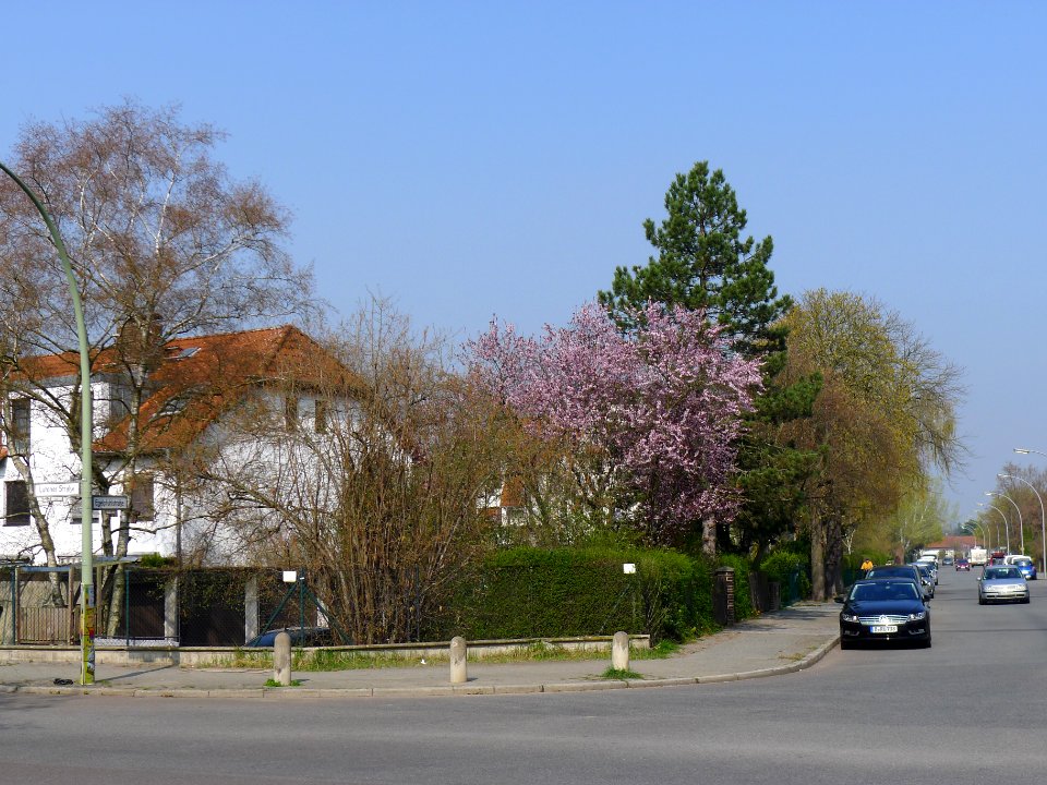 Egelpfuhlstraße (Berlin-Wilhelmstadt)