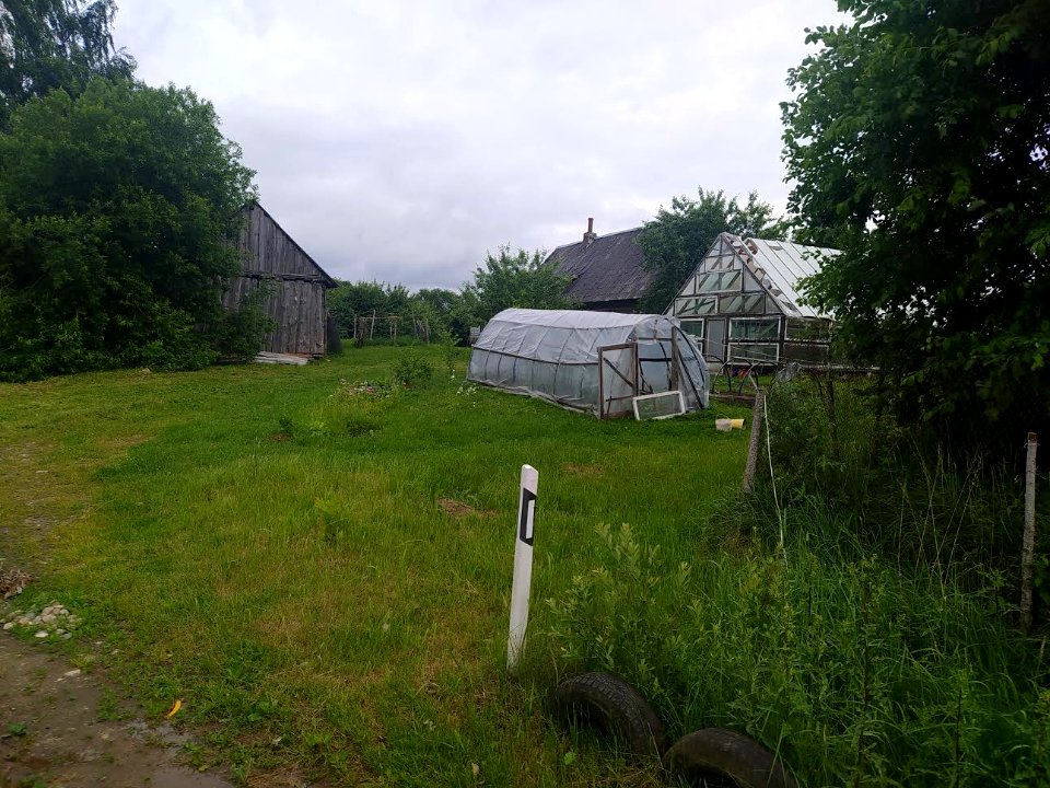 Egliniai