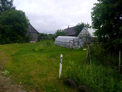Egliniai