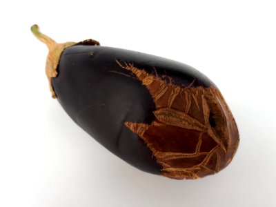 Eggplant scab 2017 K