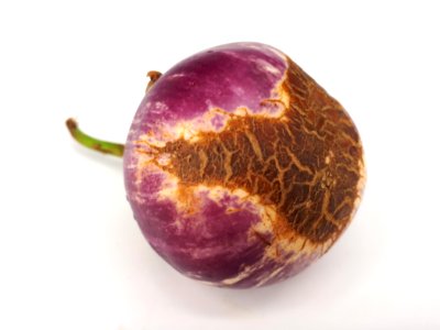 Eggplant scab 2017 M1
