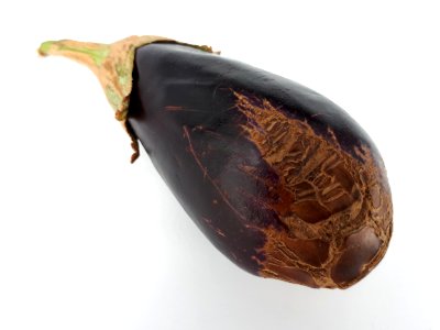 Eggplant scab 2017 H1