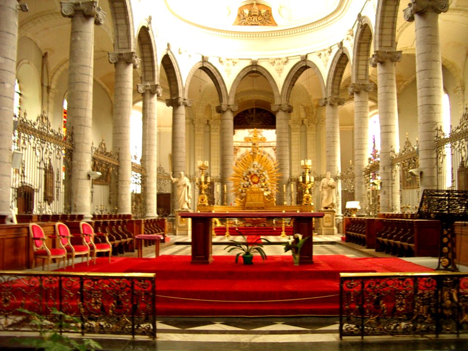 Eglise saint pierre de douai 2009 (3)