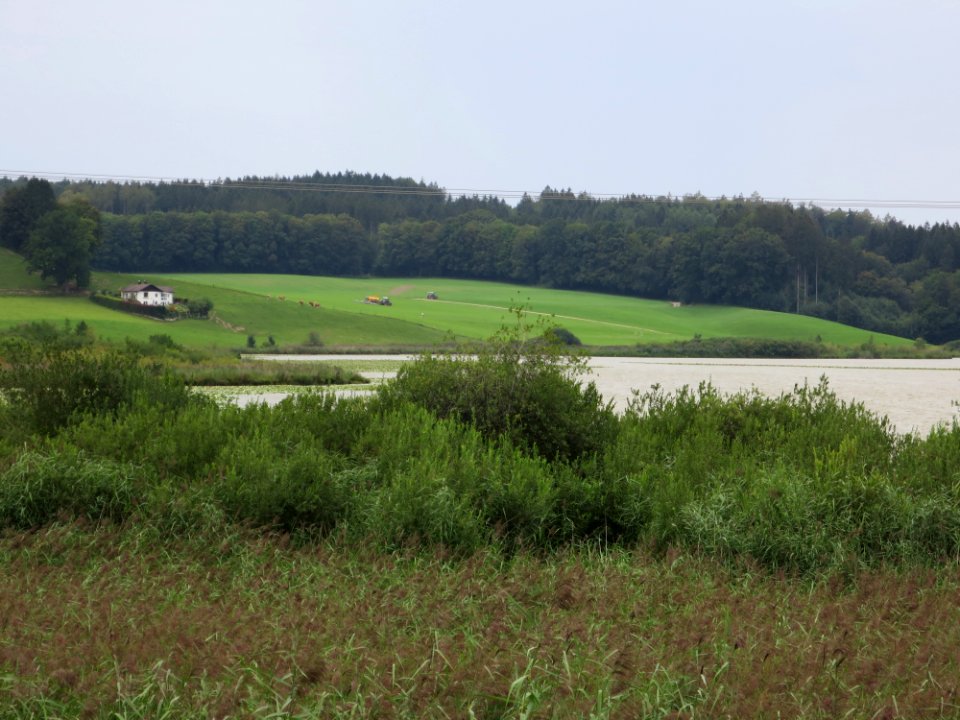 Egglburger See Ebersberg 4