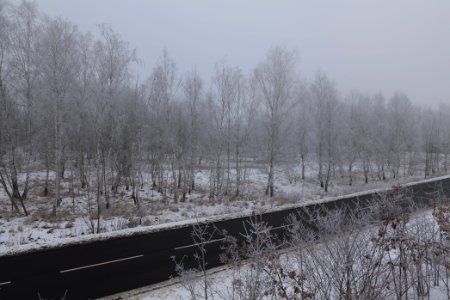 Egelpfuhl Park Dallgow-Döberitz with snow 2021-02-14 11
