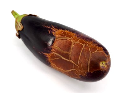 Eggplant scab 2017 F