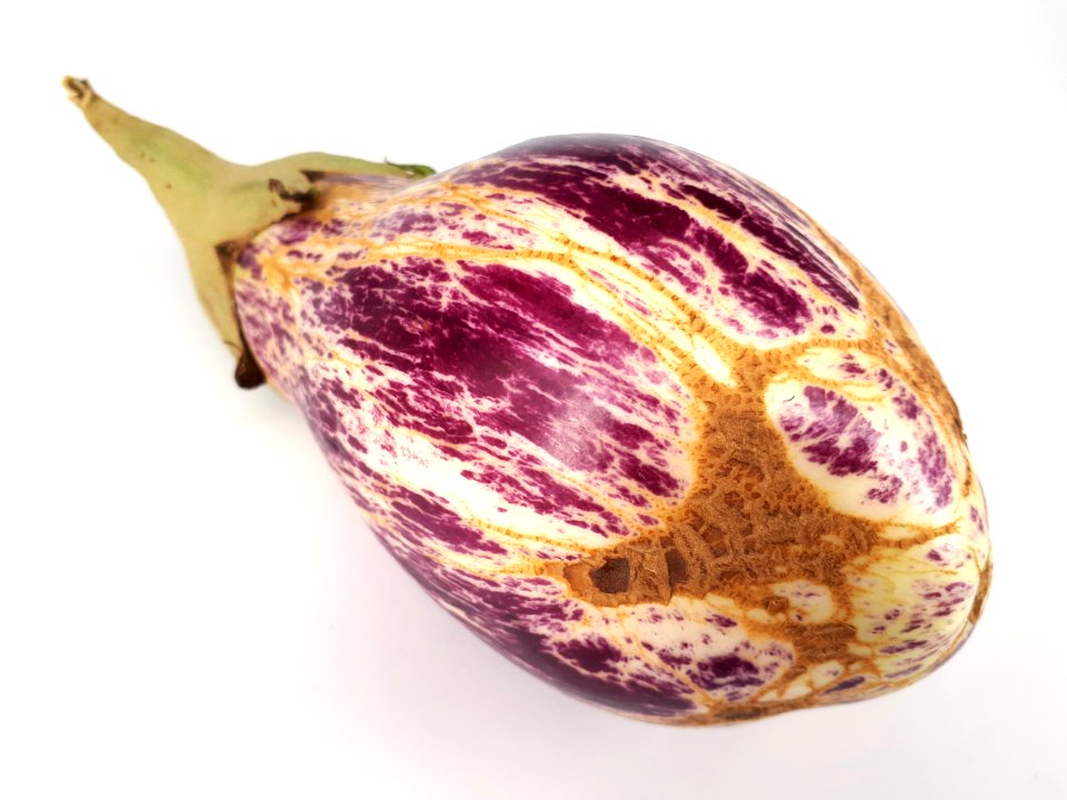 Eggplant scab 2017 N