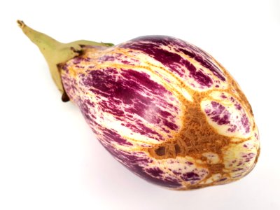 Eggplant scab 2017 N