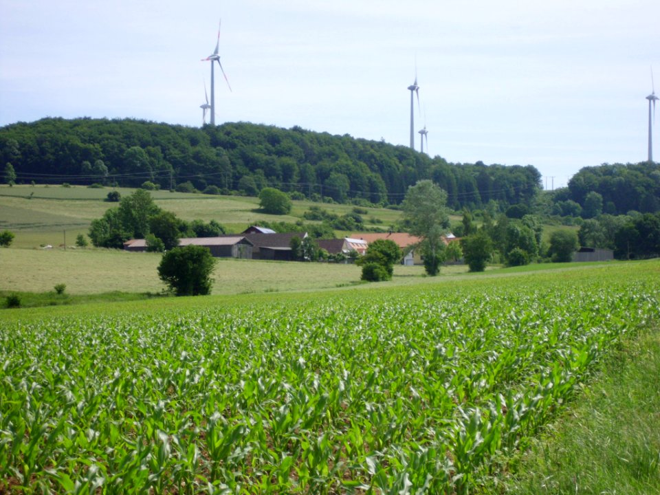 Eggenthal 2012-06-15 (40)
