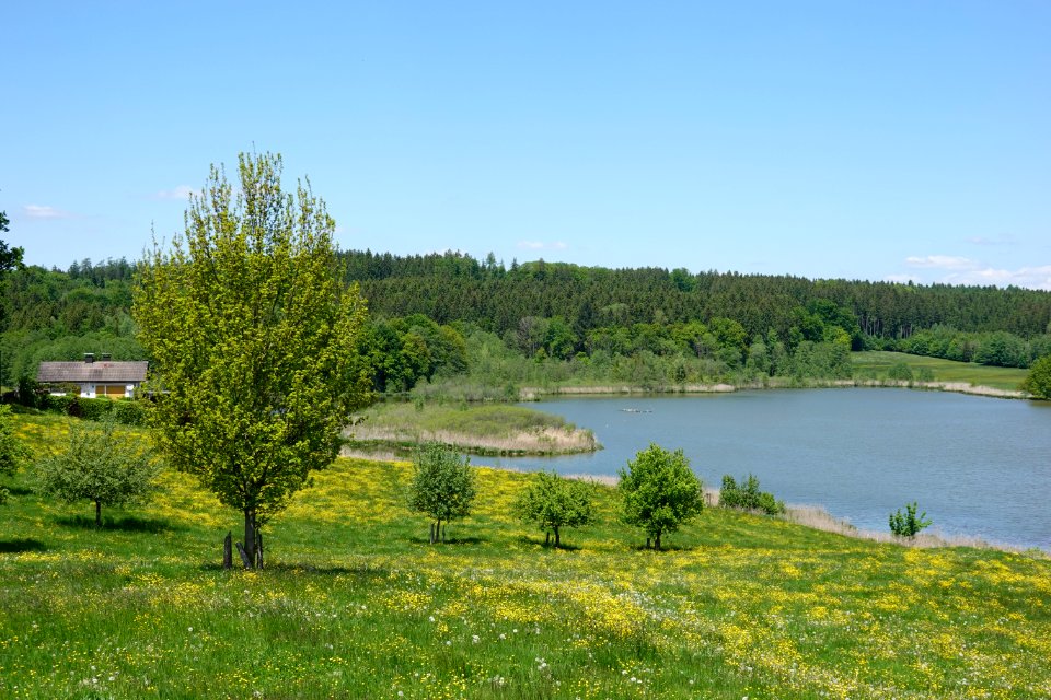 Egglburgersee Ebersberg 6