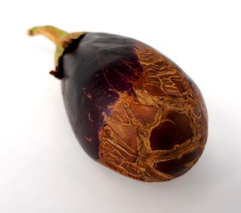 Eggplant scab 2017 H2