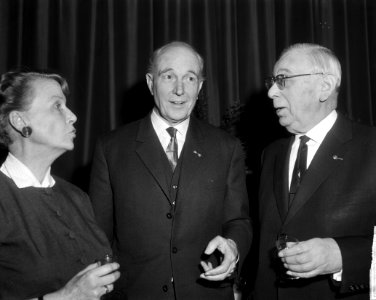 EgginkDonkerVriesland1965