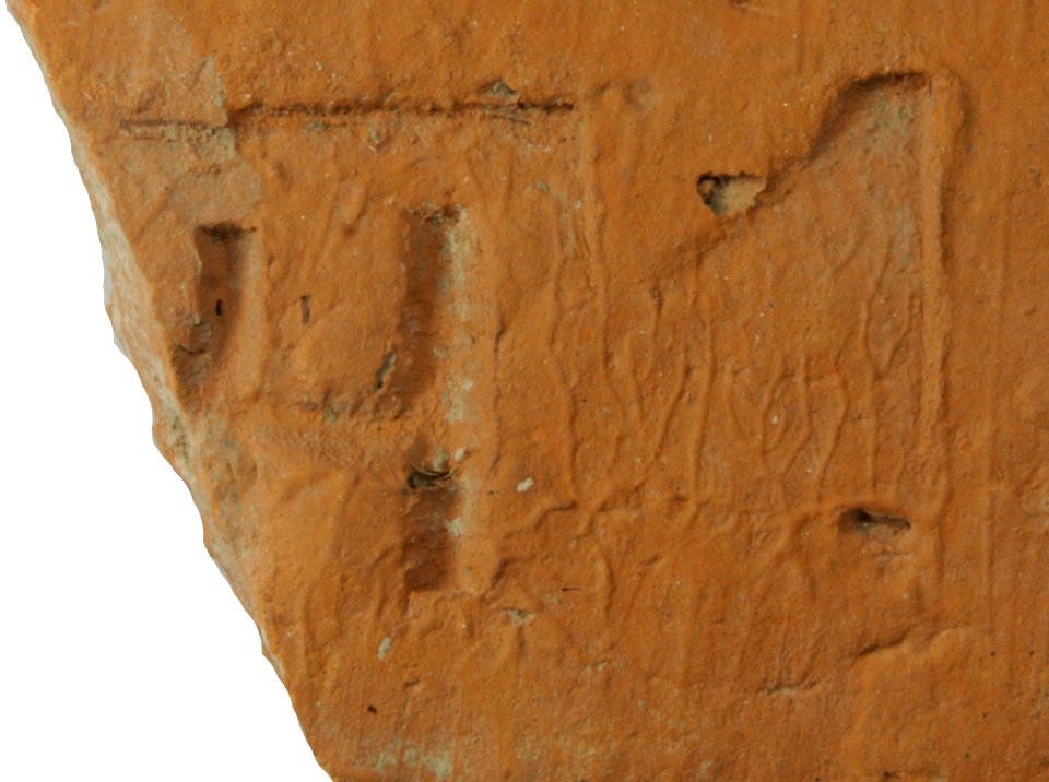 ELTE 605