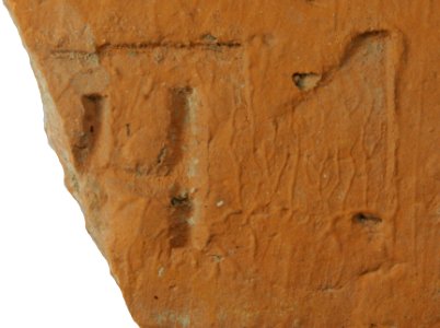 ELTE 605
