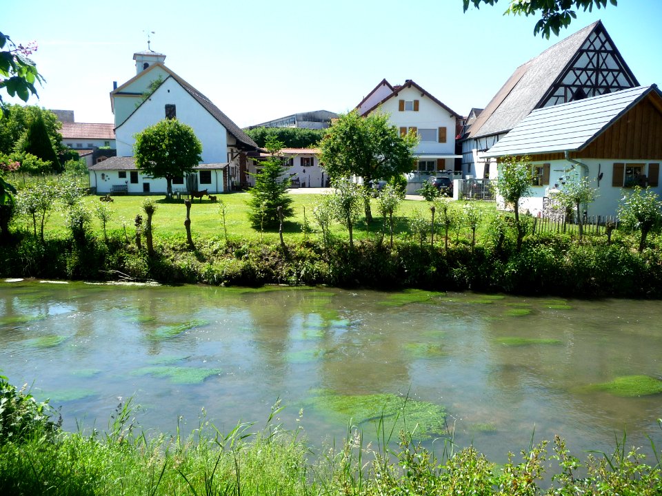 Elsenz in Zuzenhausen 02