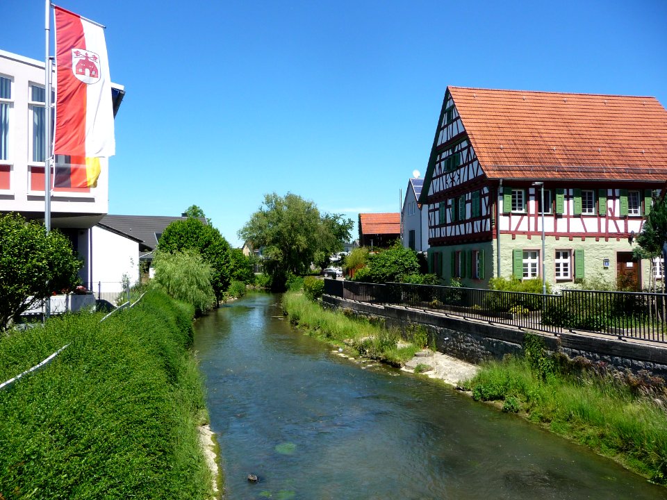 Elsenz in Zuzenhausen 07