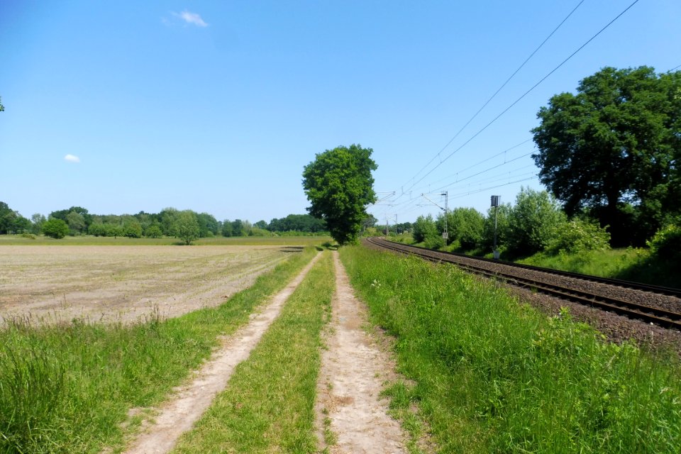 Elsen - Elser Holz-Rottberg - 1