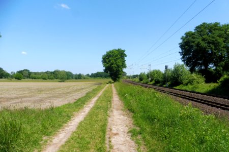 Elsen - Elser Holz-Rottberg - 1