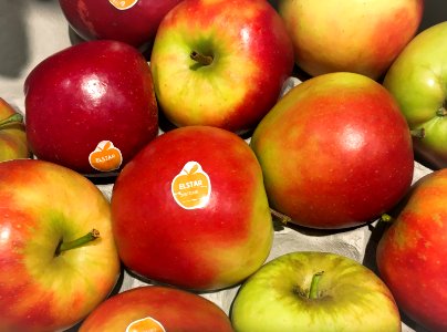Elstar apples from the Over-Betuwe subregion