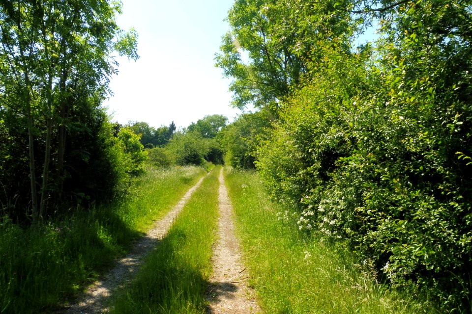 Elsen - Elser Holz-Rottberg - 11