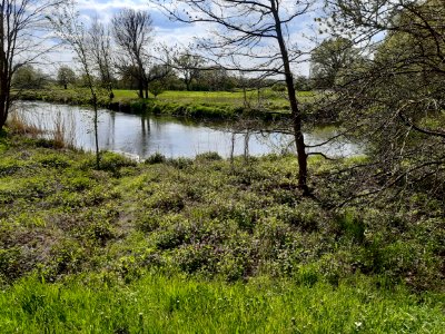 Elsteraue bei Döllnitz (3)