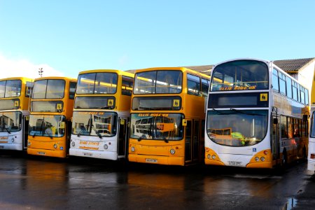Ellie Rose Bus depot buses