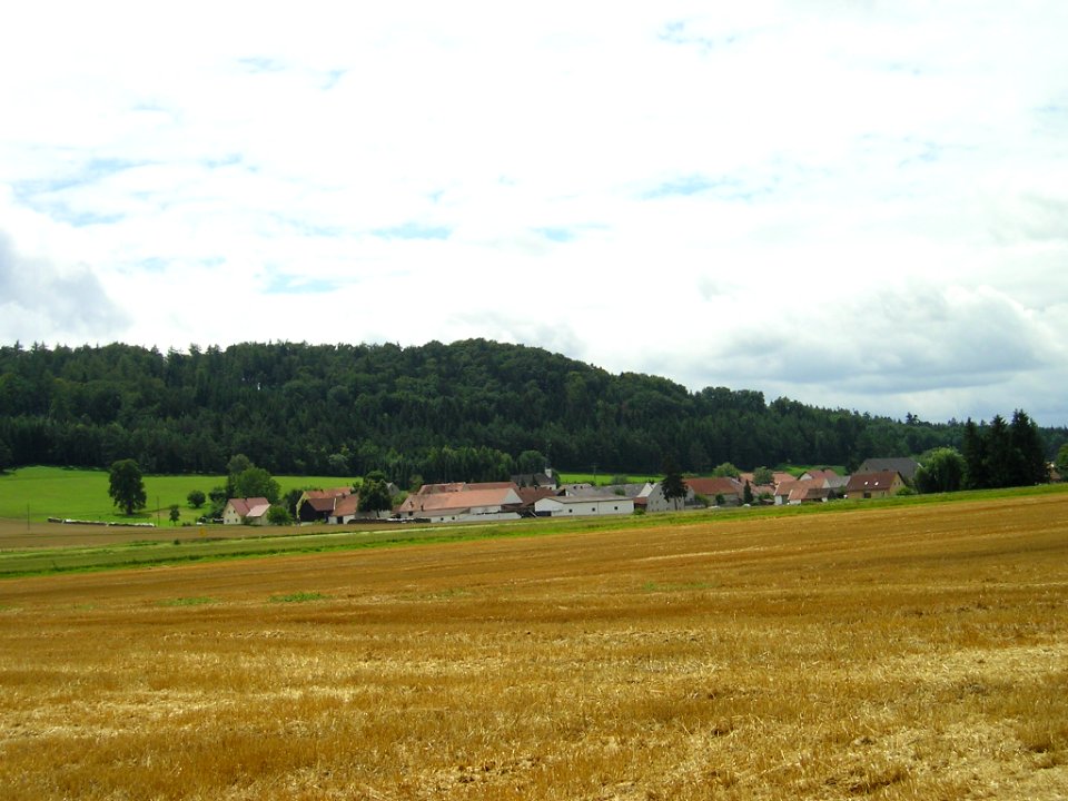 Ellenbrunn Wellheimer Tal