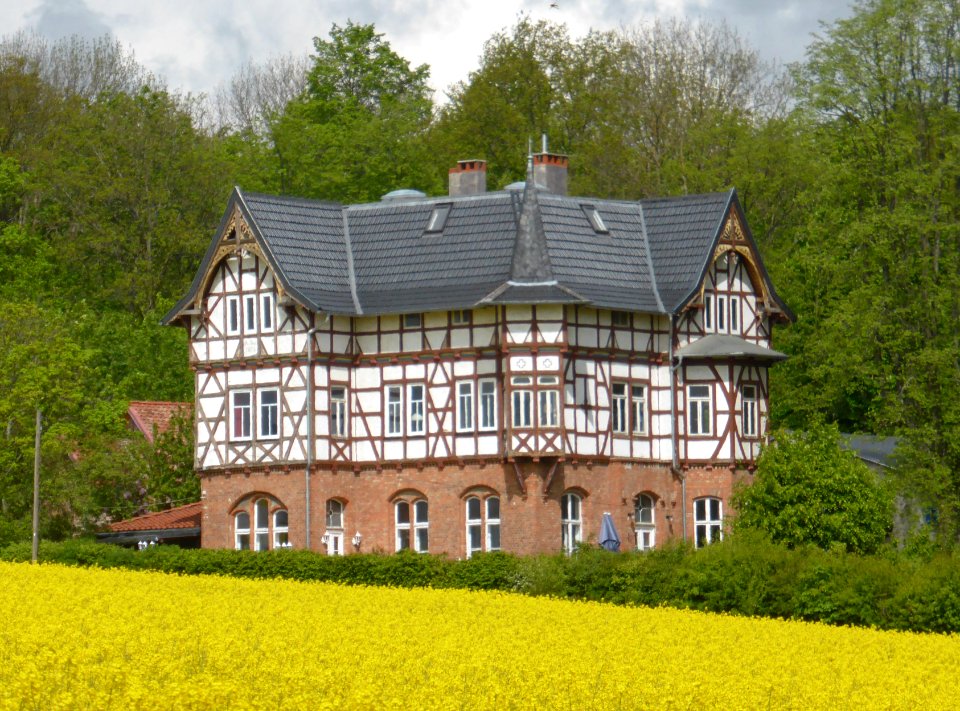 Elmhaus 2021