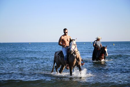 Water plan horseback riding animal photo