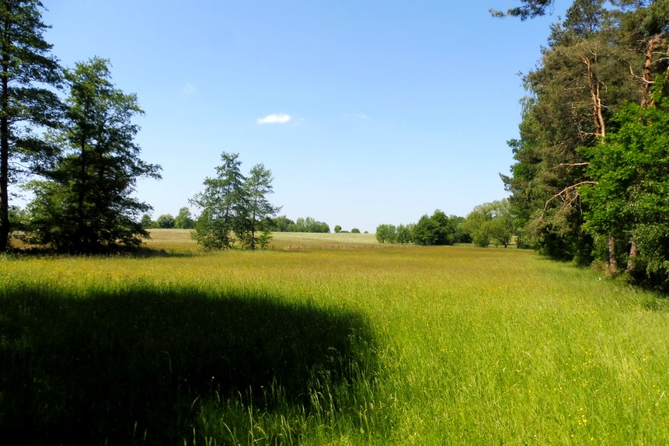 Elsen - Elser Holz-Rottberg - 4