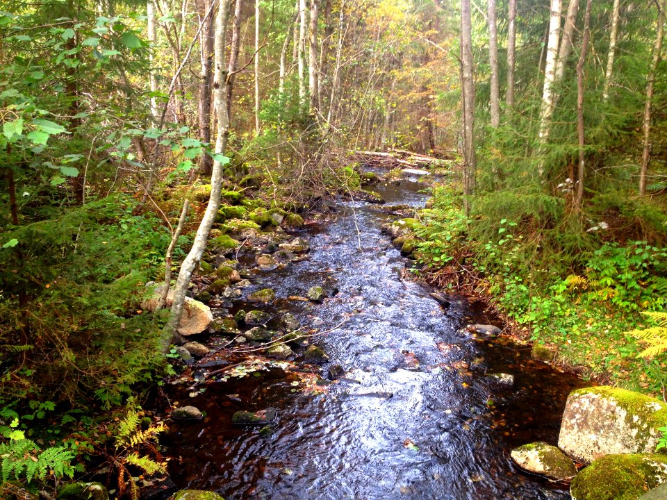 Ellingsrudelva Sept 2014