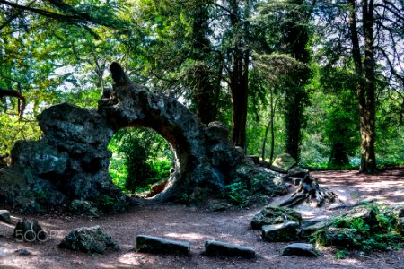 Elvaston Castle (261913555) photo