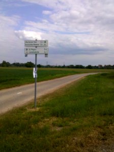 Elsterradwegweiser mit Blick nach Südost am Elsterradweg bei Wiederau im Mai 2016