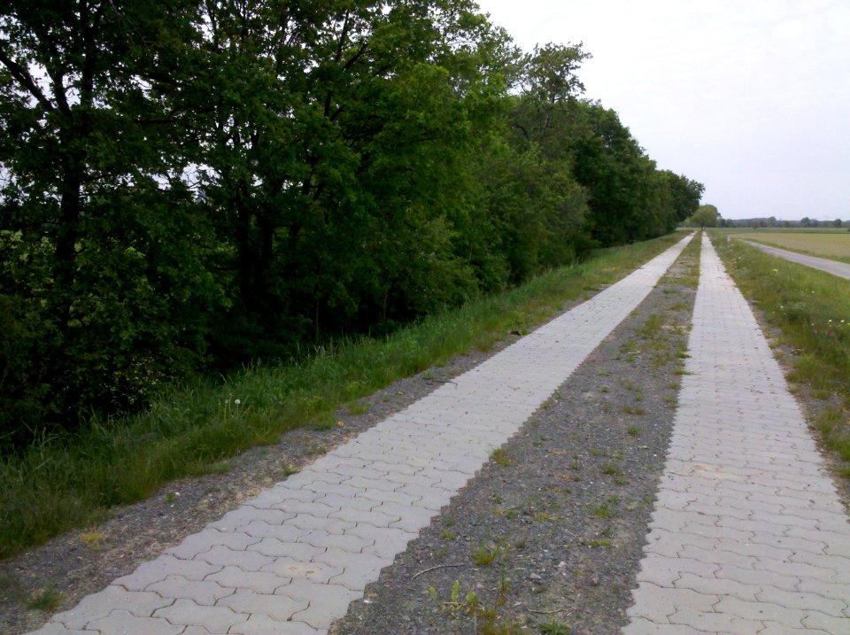 Elsterradweg begleitender Deichverteidigungsweg bei Wiederau im Mai 2016f