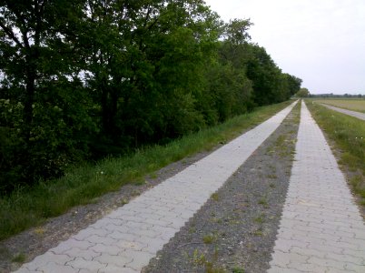 Elsterradweg begleitender Deichverteidigungsweg bei Wiederau im Mai 2016f