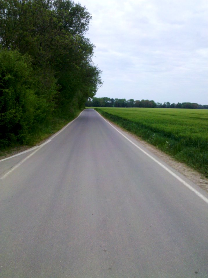 Elsterradweg am Schwennigkeufer bei Altengroitzsch, Abzweig Wirtschaftsweg zwischen Gatzen und Elstertrebnitz im Mai 2016c
