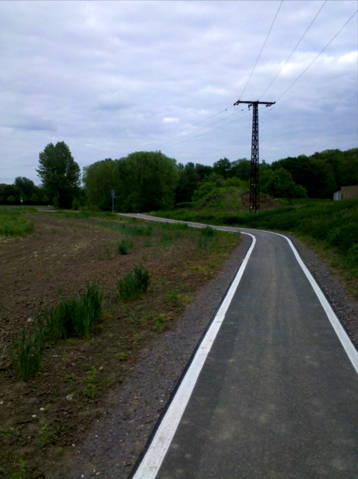 Elsterradweg am Albert-Hain südostöstlich von Pegau im Mai 2016c