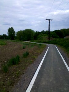 Elsterradweg am Albert-Hain südostöstlich von Pegau im Mai 2016c
