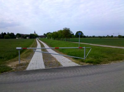 Elsterradweg begleitender Deichverteidigungsweg bei Wiederau im Mai 2016b