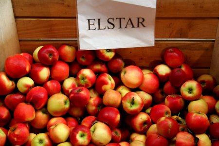 Elstar Äpfel 1