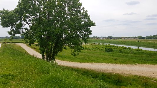 Elsloo-Grenspaal 111N (BE-NL) (1)