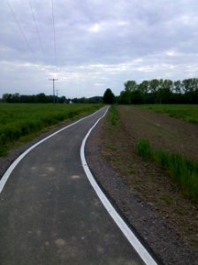 Elsterradweg am Albert-Hain südostöstlich von Pegau im Mai 2016b