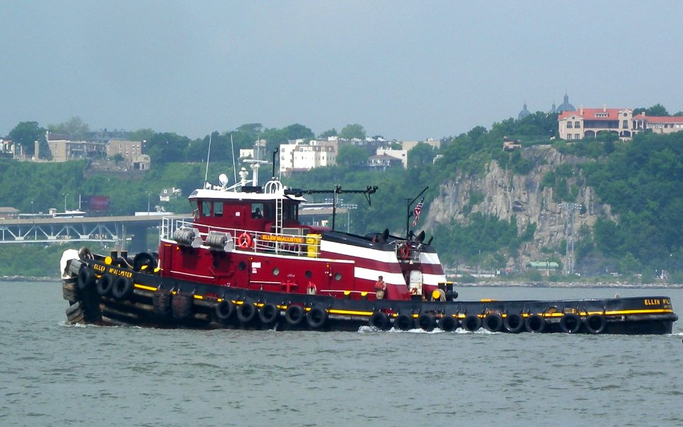 Ellen McAllister Weehawken jeh