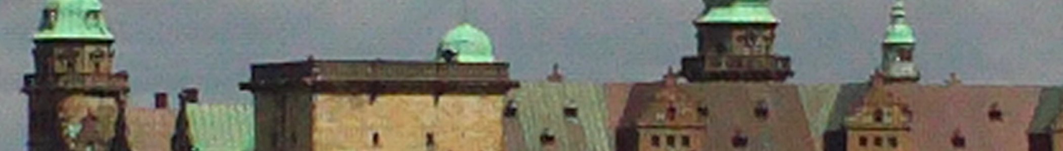 Elsinore banner Roofs