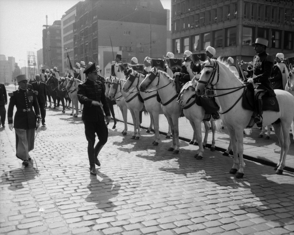 Elfde internationale concours hippique te Rotterdam, deelname van de Noordafrika, Bestanddeelnr 909-8213