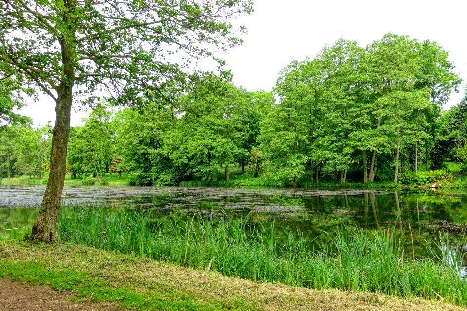 Eleven Acre Lake, Stowe - Buckinghamshire, England - DSC06898