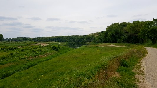 Elsloo-Grenspaal 111N (BE-NL) (8)