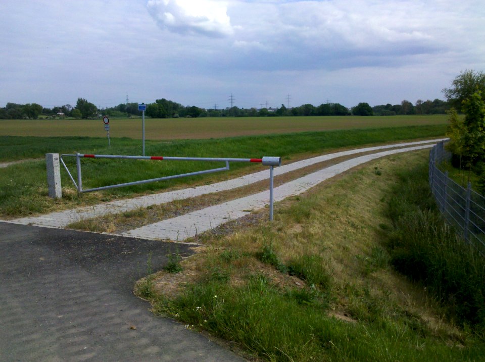 Elsterradweg begleitender Deichverteidigungsweg bei Wiederau im Mai 2016a